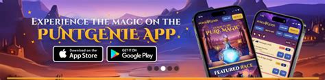 puntgenie|PuntGenie Review [April 2024] .